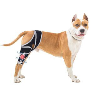 Medium Moysoon Dog Knee Brace Adjustable Reflective Material,Provide Strong Supp